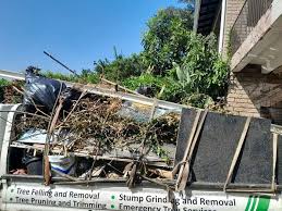 Best Hoarding Cleanup  in Springville, NY