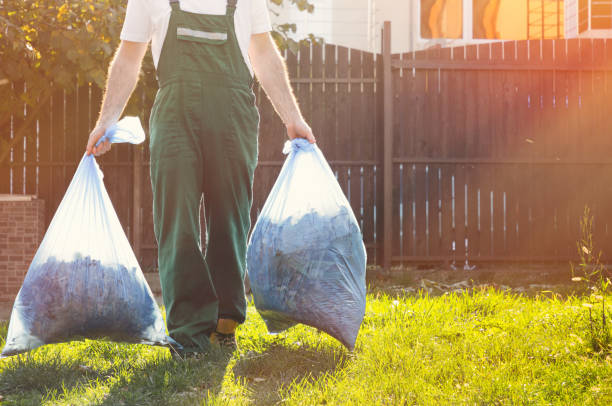 Best Shed Removal  in Springville, NY